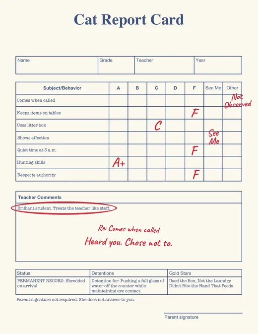 Cat report card with red-pen grades